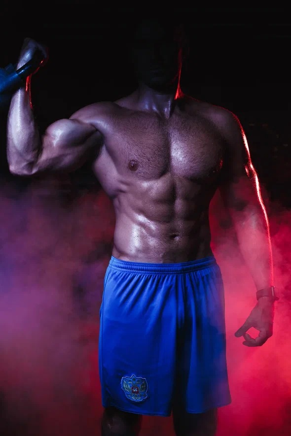 Torso